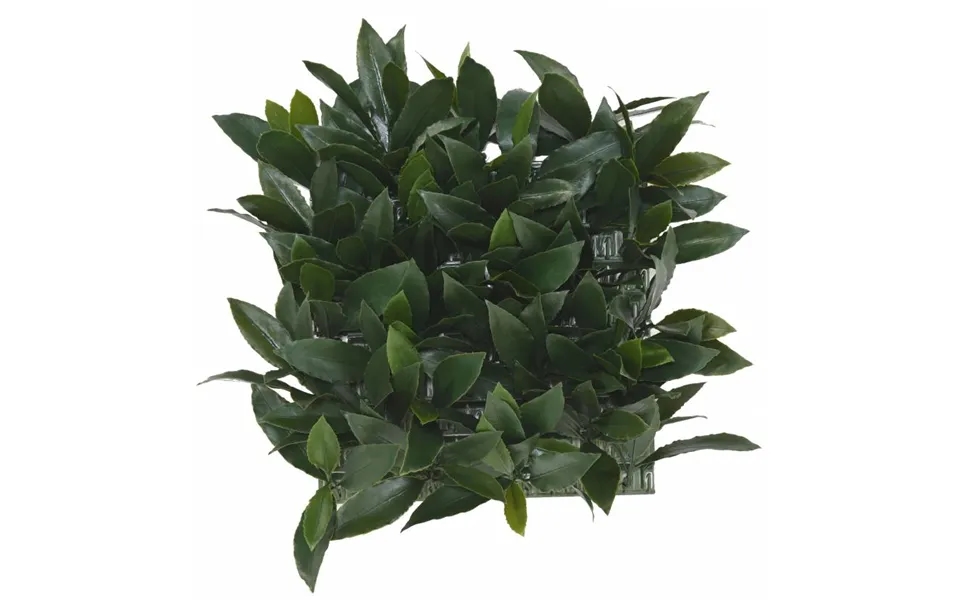 Kunstig Plantevæg 35 X 35 Cm Laurbærblade
