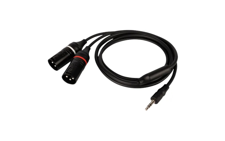 Dap Fl120 - Male Stereo Mini-jack To 2 Xlr M 3p 0.75 M 75 Cm