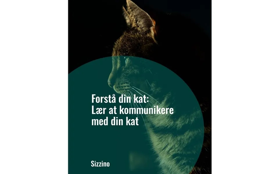 Forstå Din Kat Lær At Kommunikere Med Din Kat