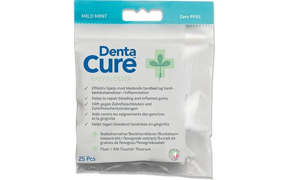 Dentacure Easy Flosser - 1 Pk.