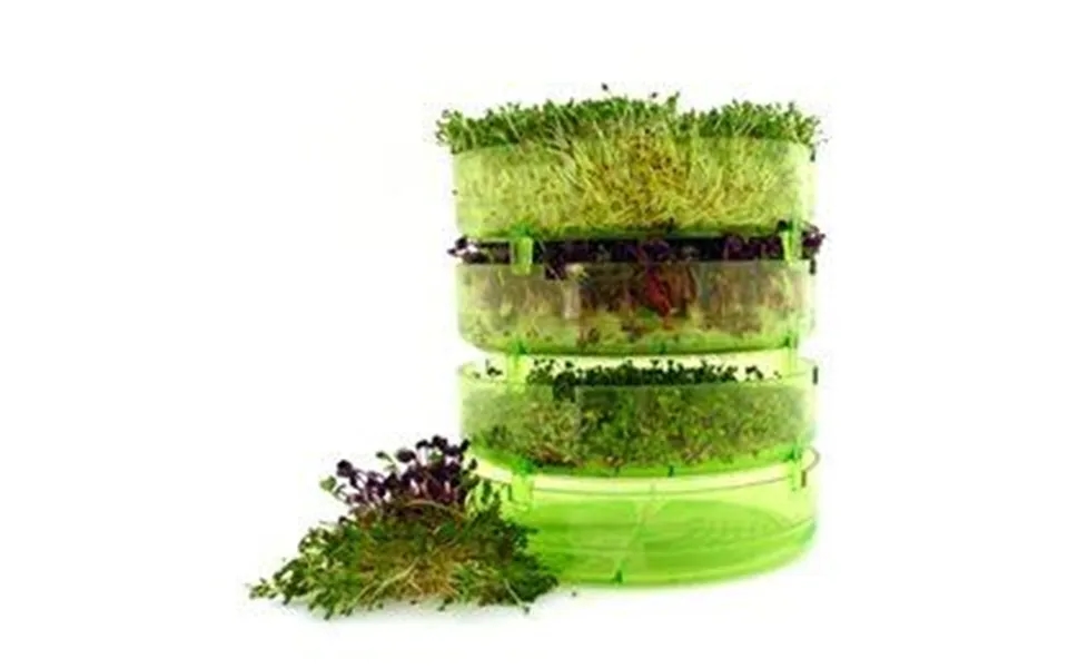 Spire Sprouter Geo - 1 Stk