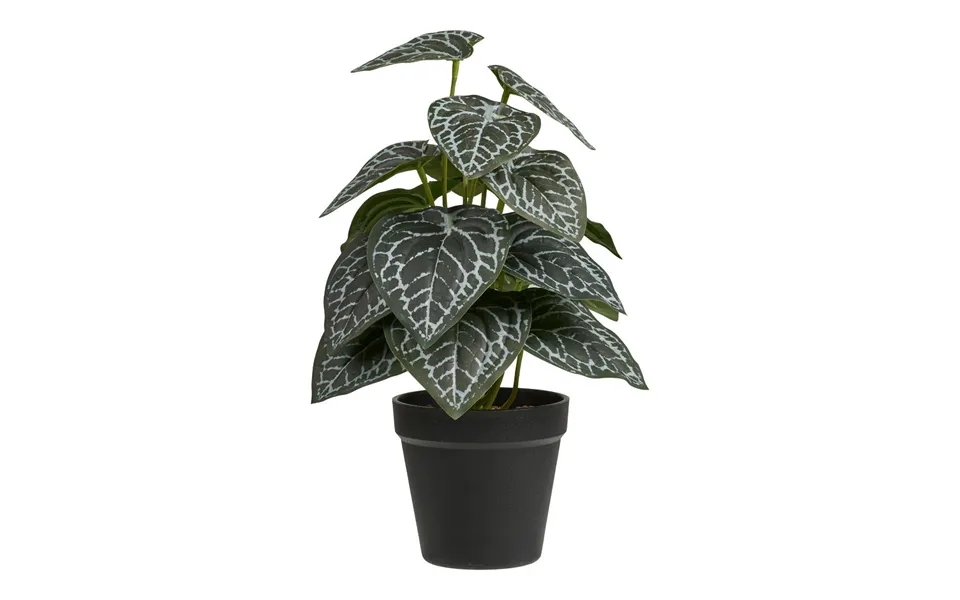 Alocasia Kunstig Plante Højde 33cm Grøn