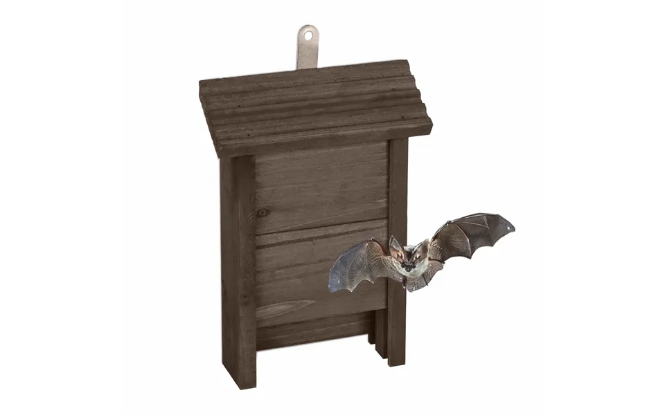 Flagermuskasse I Brunt Træ