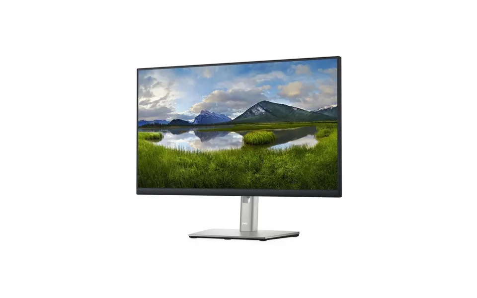 Brugt Dell P2425h 23,8 100hz Computerskærm - 1920 X 1080 Brugt 23
