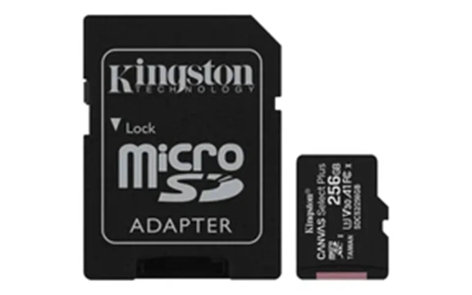 Kingston Canvas Select Plus Micro Sd - 256 Gb