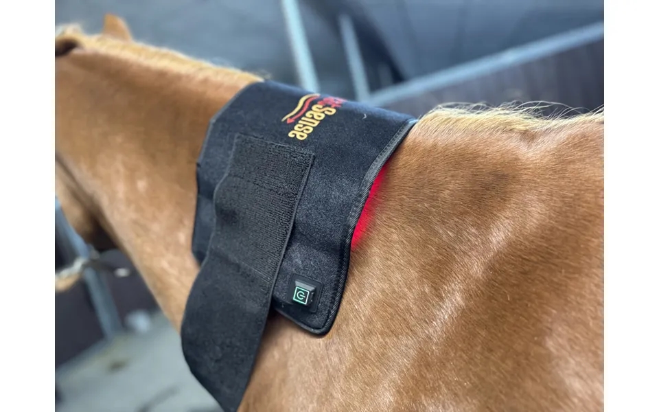 Rød Lys Terapi Pad Til Hest Heat Sense Horse - Red Light Therapy
