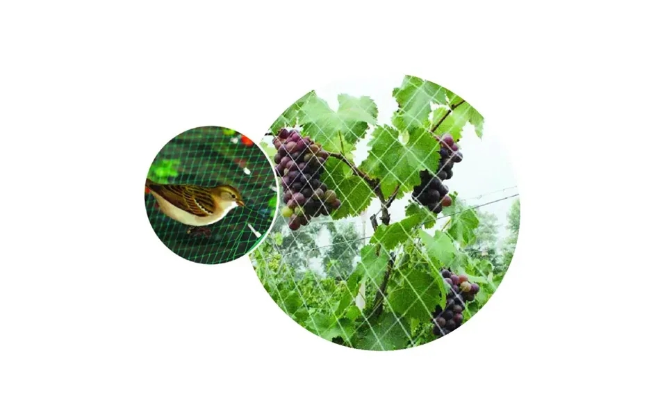 Green-it Fuglenet 4x5 M.