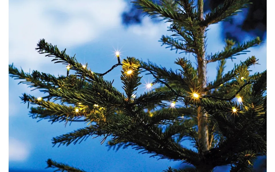 Lyskæde På Batteri - 40 Led