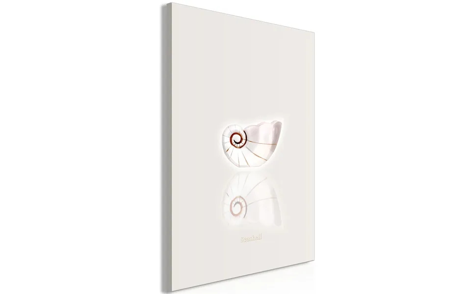 Billede - Ceramic Shell 1 Part Vertical