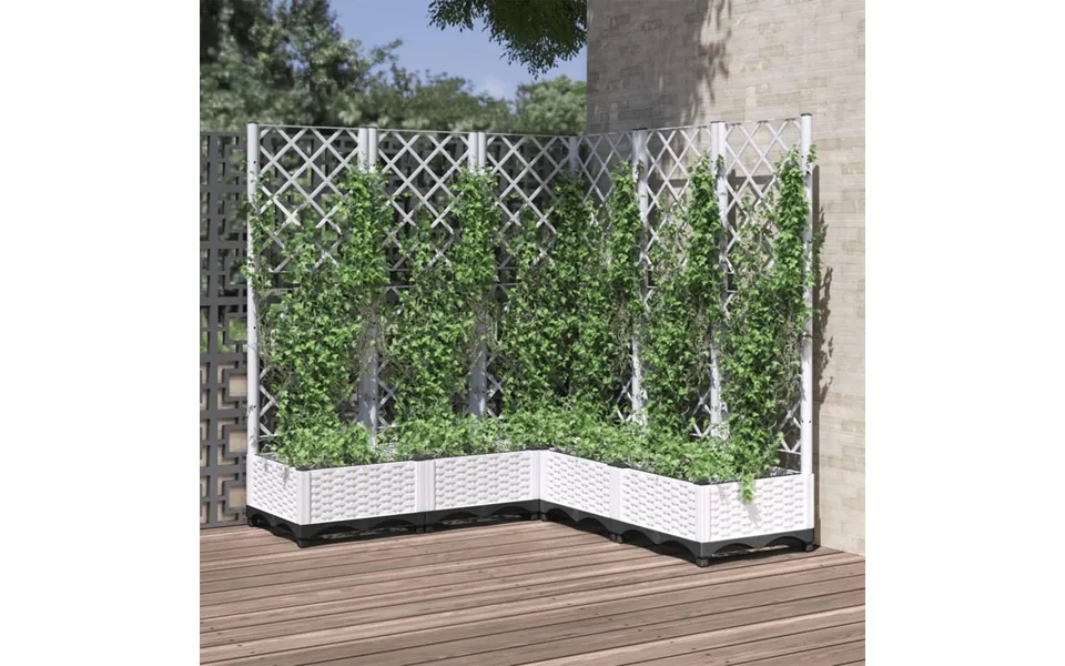 Plantekasse Med Espalier 120x120x121,5 Cm Pp Hvid