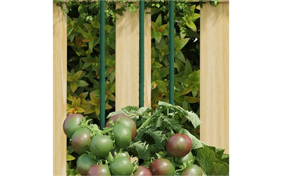 Plantespyd Til Haven 30 Stk. 60 Cm Stål Grøn