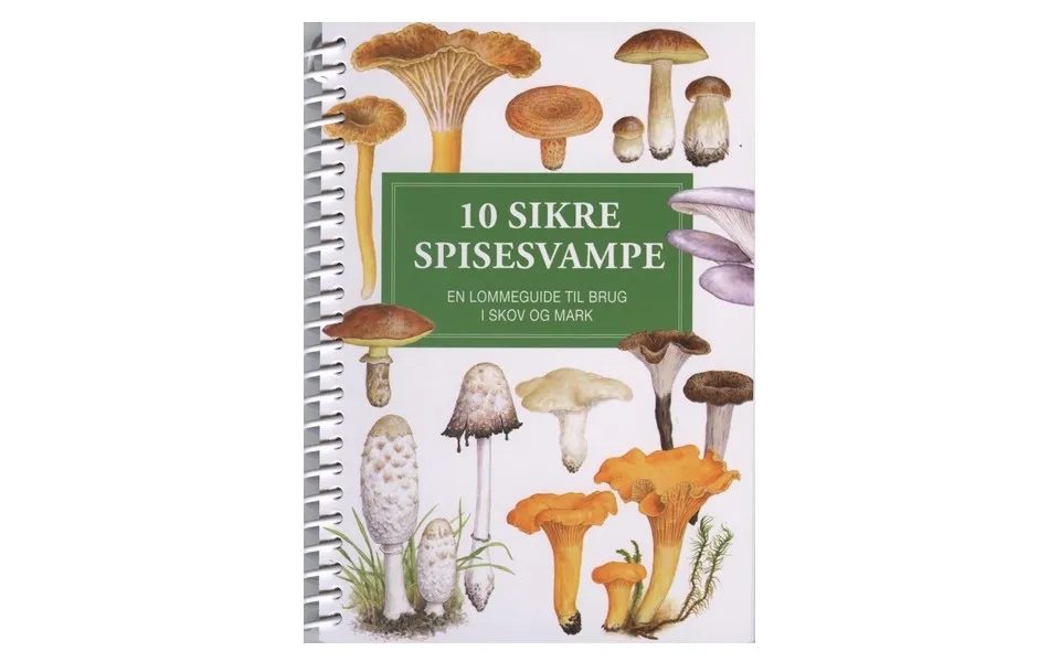 10 Sikre Spisesvampe - Lommeguide