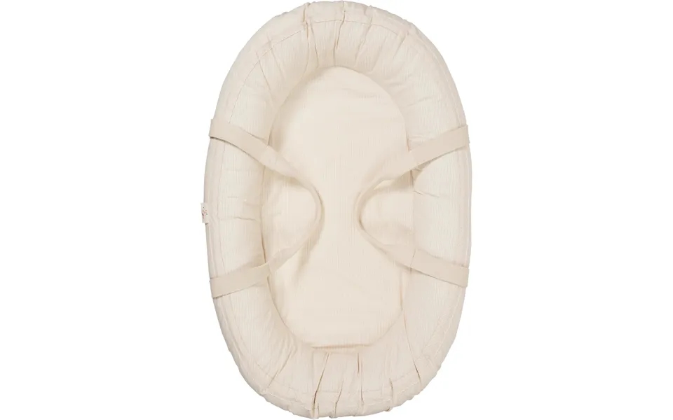 Future Babynest & Lift