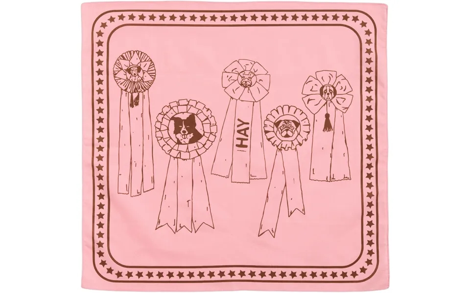 Hay Dogs Scarf Recycled55 X 55-p