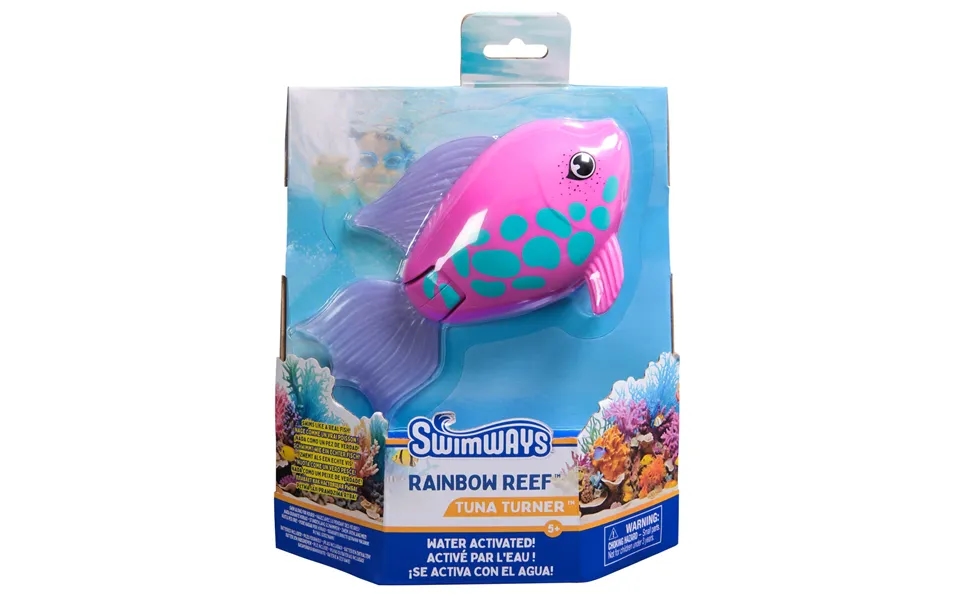 Rainbow Reef Fish Rainb