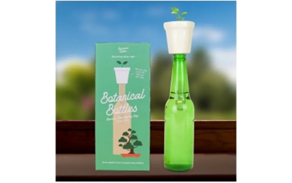 Gift Republic Botanical Bottles Bonsai - Plante