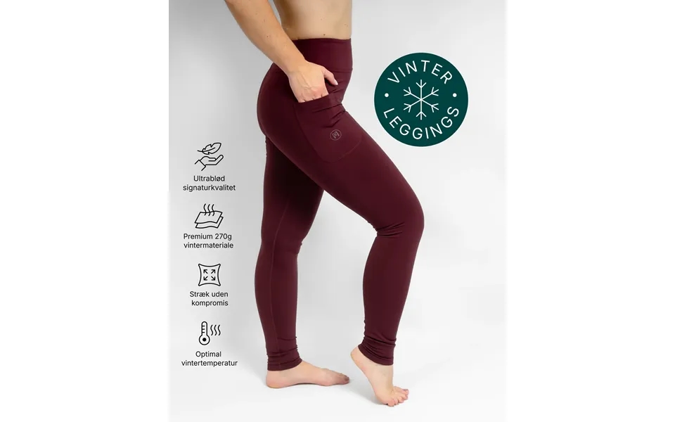 Aya Deep Bordeaux Tight Fit Winter Leggings