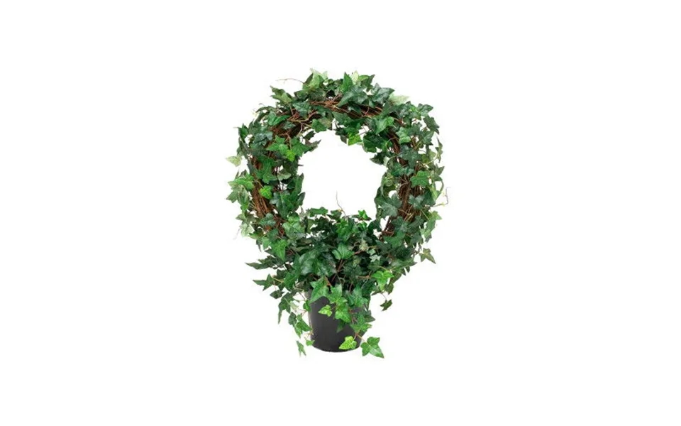 Ivy Potted Plant Green
