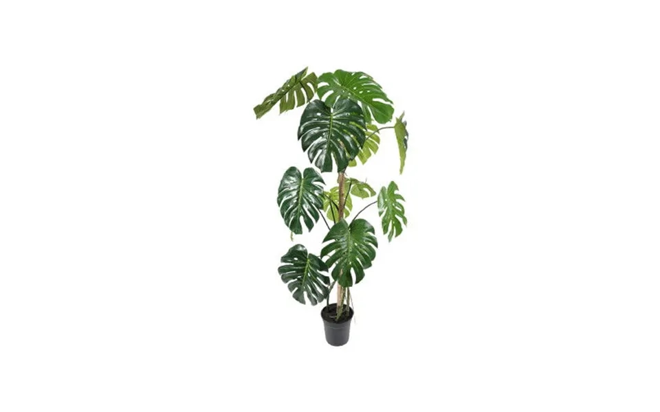 Monstera Kunstig Plante Grøn