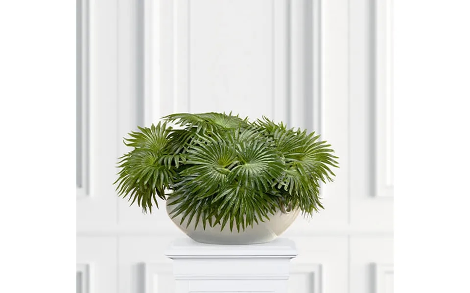 Palm Potted Plant Green