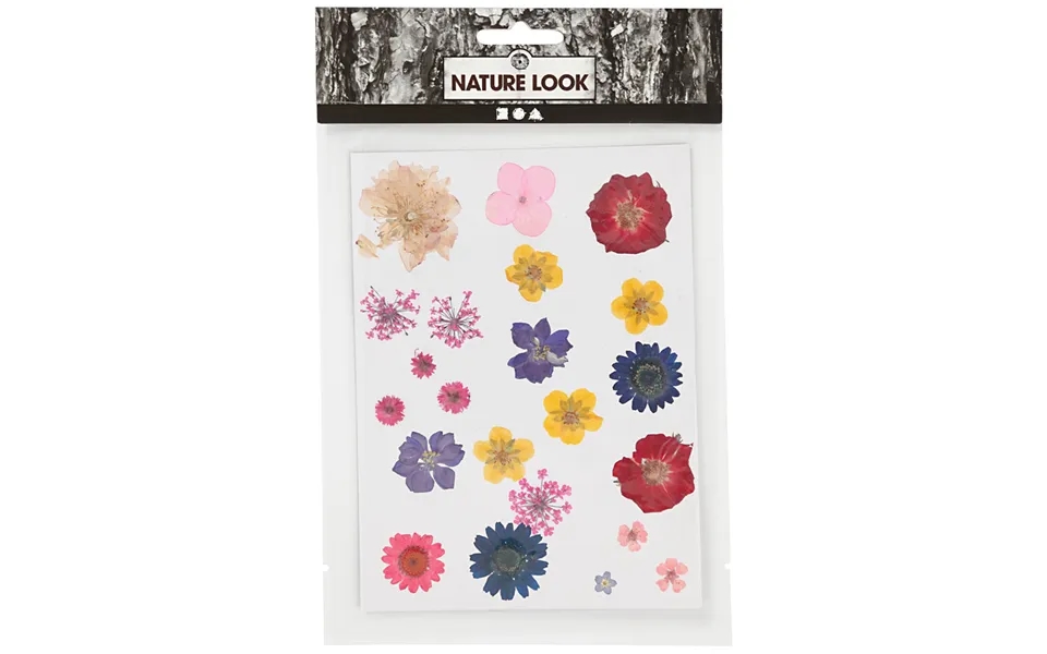 Creativ Company Tørrede Blomster Og Blade Blandede Farver