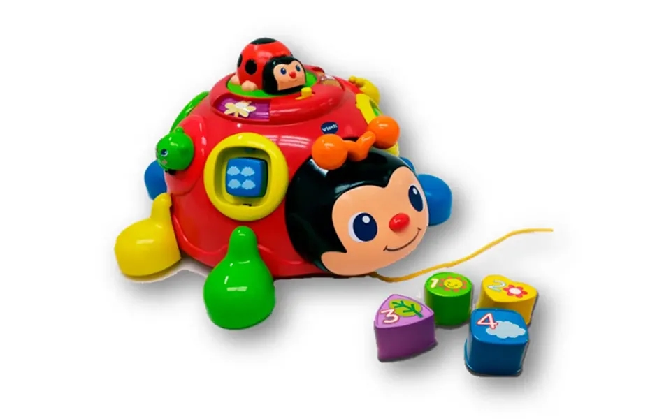 Læreinsekt Med Skøre Ben