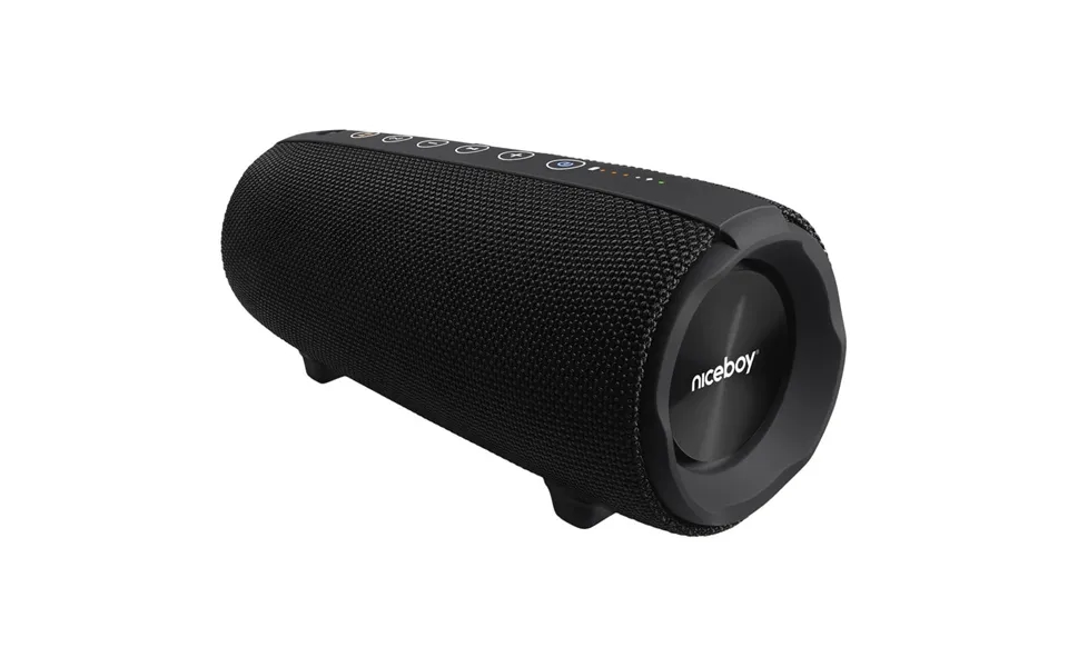 Niceboy Raze Titan 4 Bluetooth Højtaler 50w - Fm Radio