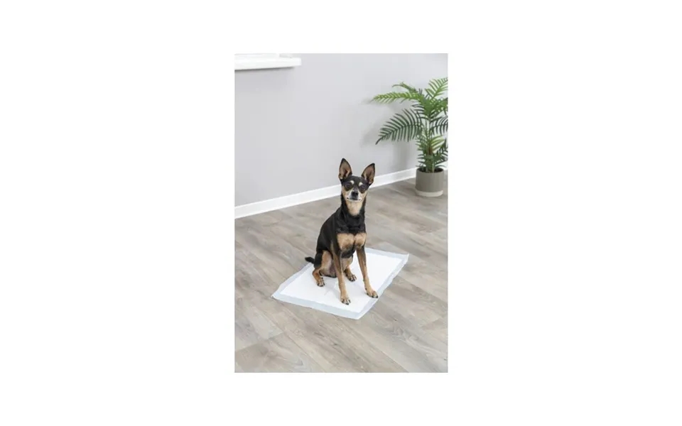 Jolly Paw Hygiejneunderlag Til Hvalpe Puppy Pads 40x60cm 7-pak