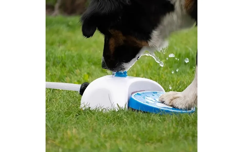 Hunde Vandfontæne Springvand