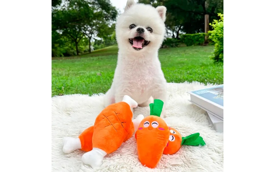 Hundelegetøj - Sjov Gulerod Eller Kyllingben Med Squeaker