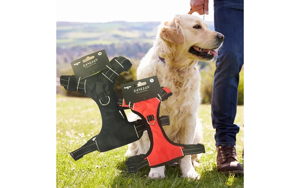 Hundesele Rød Eller Sort I 5 Størrelser - Sort Xs