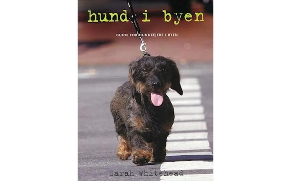 'hund I Byen' - Brugt Bog