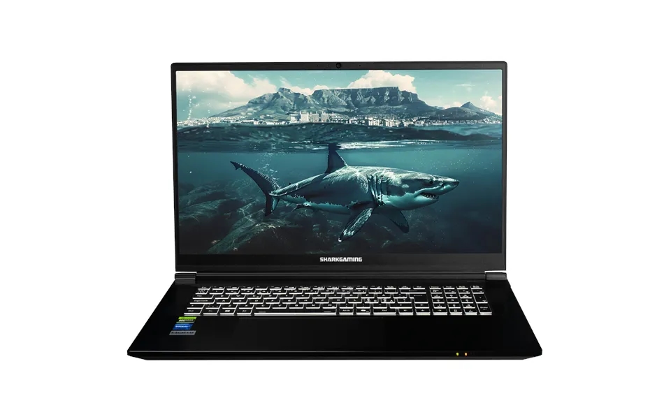 Sharkgaming 9g16-60 Laptop