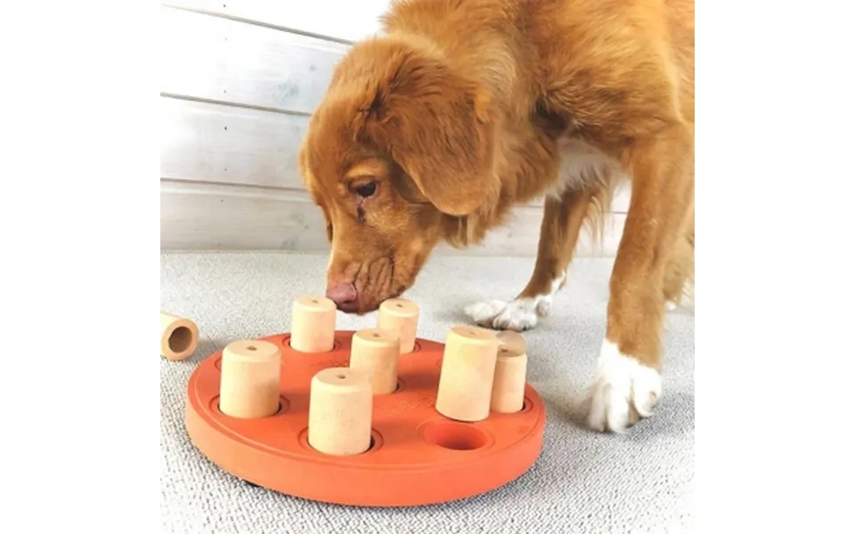 Aktivitetsspil Til Hunden - Niveau 1 Dog Smart