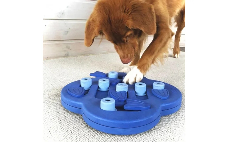 Aktivitetsspil Til Hunden - Niveau 2 Hide N' Slide