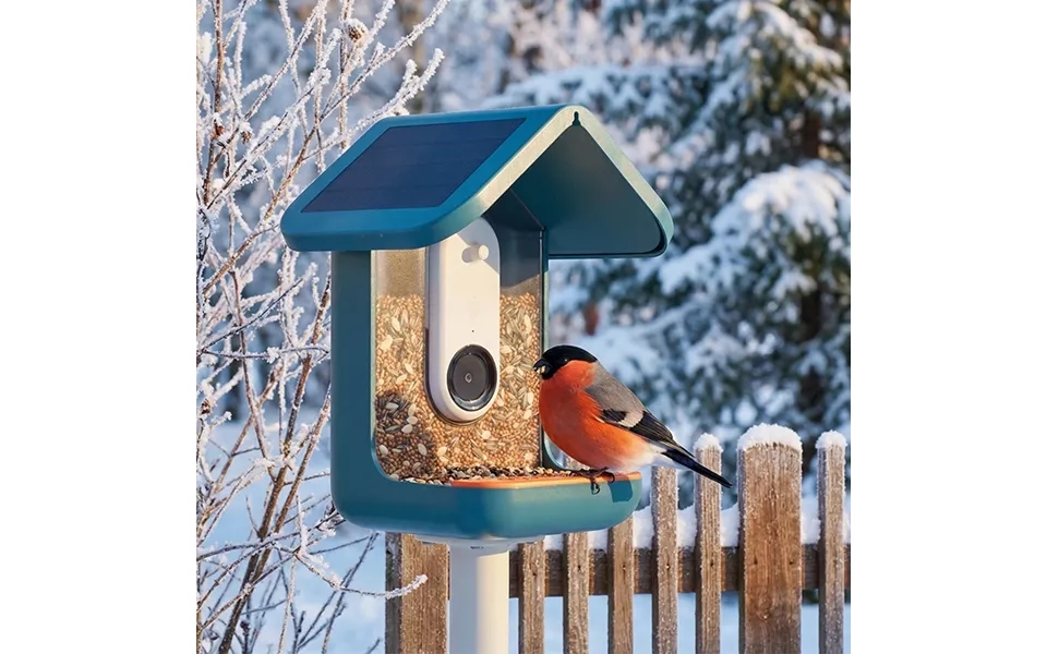Fuglefoderautomat Med Kamera - Birdbuddy