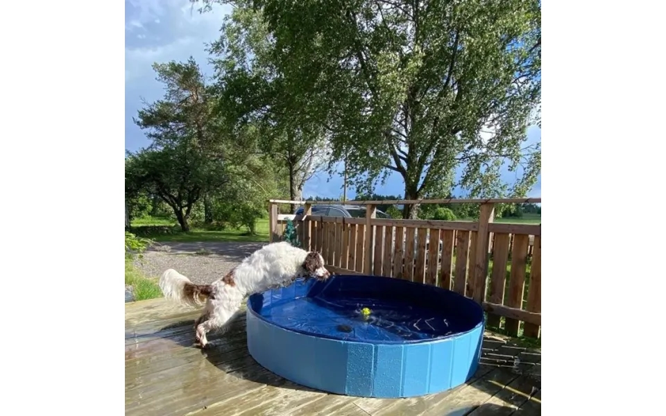 Sammenklappelig Hundepool - 160cm