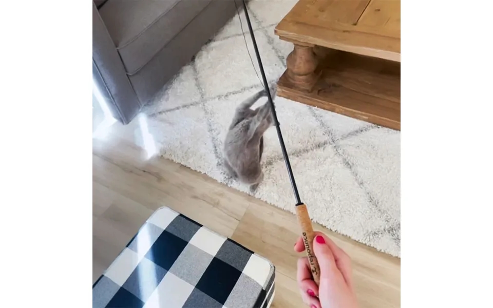 Slidstærkt Kattelegetøj