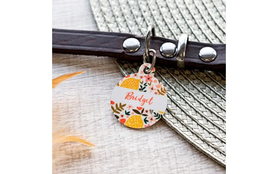 Smartphoto Navneskilt Til Kæledyr Kødben