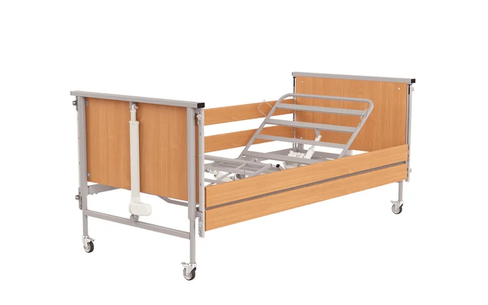 Elektrisk Ammeseng - Dream-tim