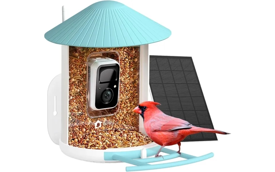 Birdfy Foderautomat Med Intelligent Fugleidentifikation Solpanel